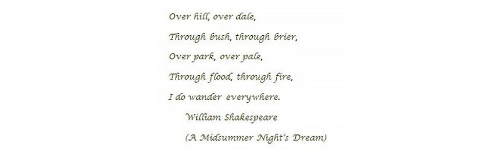 A Midsummer Night's Dream